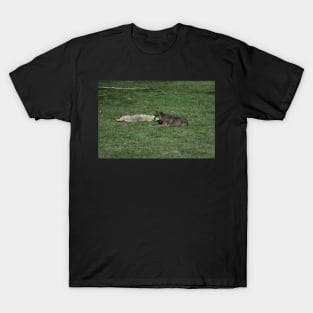 Wolves T-Shirt